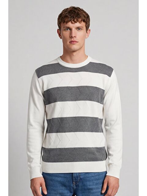 Sabri Özel Erkek Kemik Normal Kesim Regular Fit Yünlü Bisiklet Yaka Minimal Triko Kazak