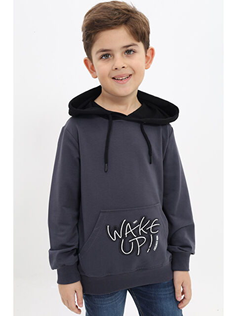 Toontoykids Erkek Çocuk Baskılı Sweatshirt - S000273343-33408
