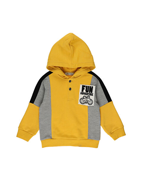 Panço Erkek Çocuk Renkli Sweatshirt - S000263665-20072