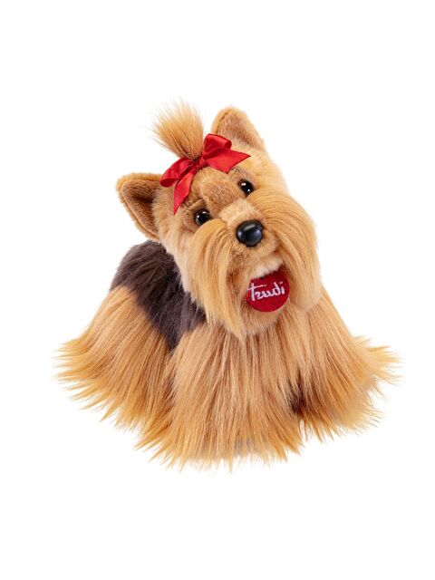Trudi Yorkshire Willy 22338 - S000486915-23173