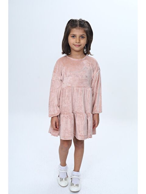 Toontoykids Kız Çocuk Nakışlı Elbise