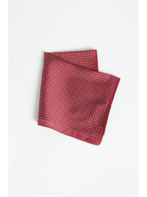 Altınyıldız Classics Erkek Bordo Desenli Mendil - S000404771-19951