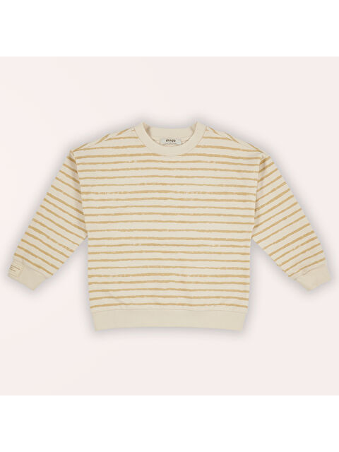 Panço Erkek Çocuk Çizgi Desenli Sweatshirt - S000297657-19928