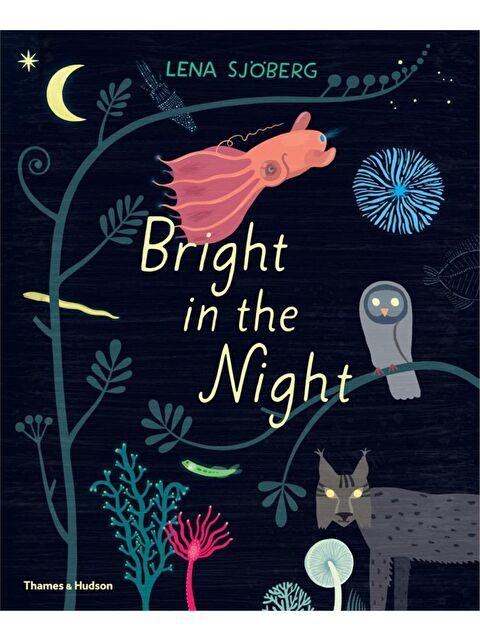 Thames & Hudson Bright in the Night - S000456107-23173