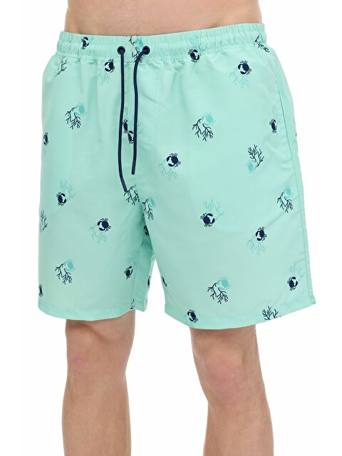 Lumberjack ML VISTORA 19HL-219 Yeşil Erkek Deniz Şortu