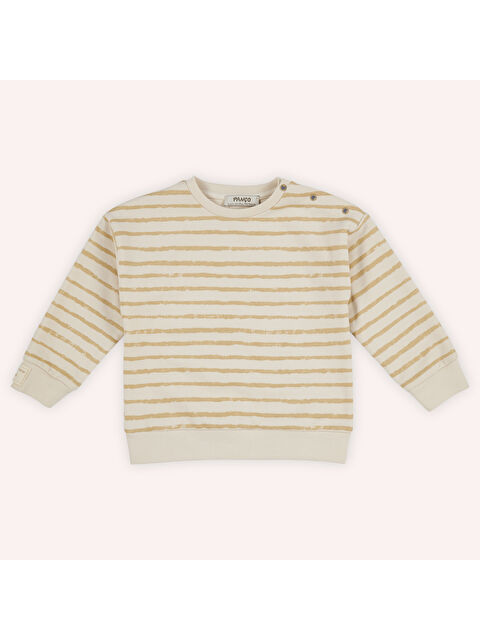 Panço Erkek Çocuk Çizgi Desenli Sweatshirt - S000297709-19928