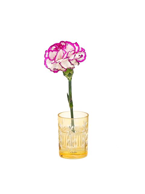 Missi Flora Design- Minimal Amber Kesme Cam Vazo - S000505735-20072