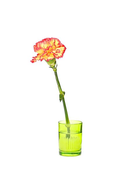 Missi Flora Design-Minimal Yeşil Cam Vazo - S000505778-18194