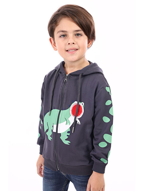 Toontoykids Erkek Çocuk Baskılı Hırka - S000310794-33408