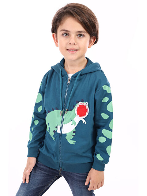 Toontoykids Erkek Çocuk Baskılı Hırka - S000310794-37399