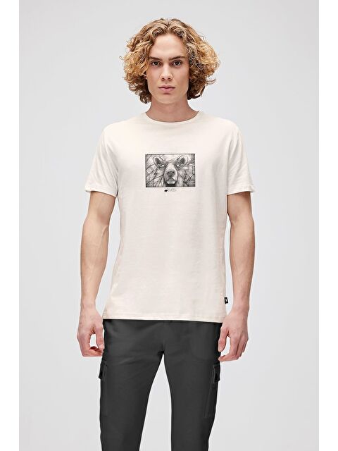 Bad Bear Wall Bear Beyaz Erkek Baskılı Tişört