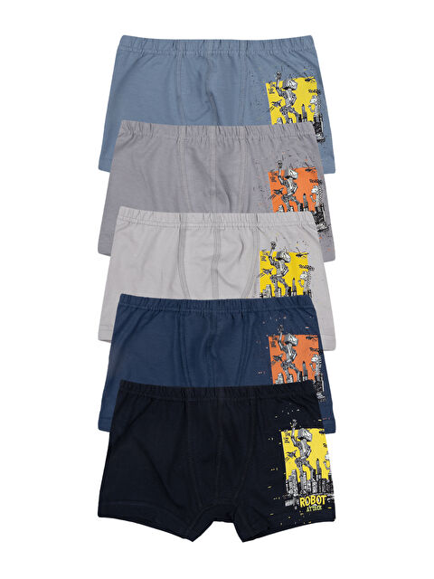 Domikids Erkek Çocuk Pamuklu Boxer 5'Li Paket - S000286305-23173