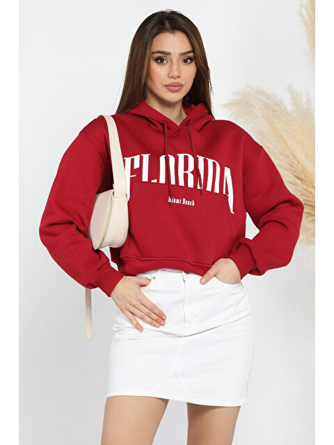 Gülseli Kapüşonlu Üç İplik Şardonlu Kadın Sweatshirt - S000320428-19951