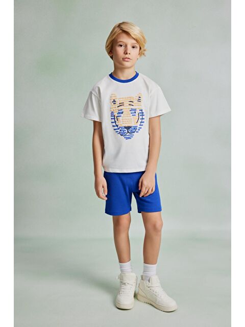 Luess Erkek Çocuk Görsel Baskılı Alt Üst Takım - S000162333-37234