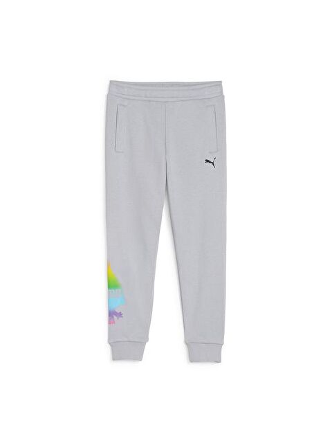 Puma Puma X Trolls Erkek Çocuk Gri Eşofman Altı - S000495395-20600