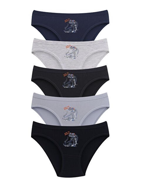 Domikids Erkek Çocuk Pamuklu Slip Külot 5'Li Paket - S000378066-27074