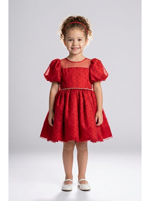 Daisy Girls Kız Çocuk Abiye - S000517243-20045