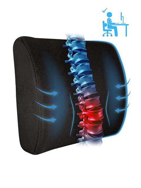 Black Deer Visco Bel Destek Yastığı Memory Foam Dik Duruş Ortopedik Yastık Omurga Yastığı Ortopedik Sırt Destek - S000270562-19351