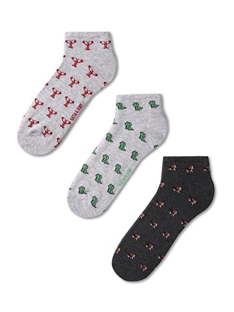 Katia And Bony Erkek Hayvan Desenli 3'Lü Patik Çorap - S000152540-74