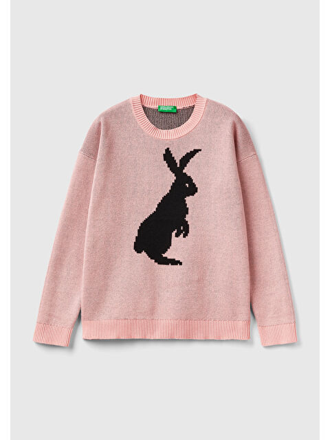 United Colors Of Benetton Erkek Çocuk Pembe Tavşan Desenli Kazak - S000297817-20024