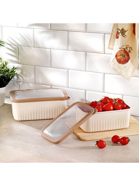 SCHAFER Ashley 2 lİ Dikdörtgen Derin Saklama Kabı-Krem - S000487735-19966