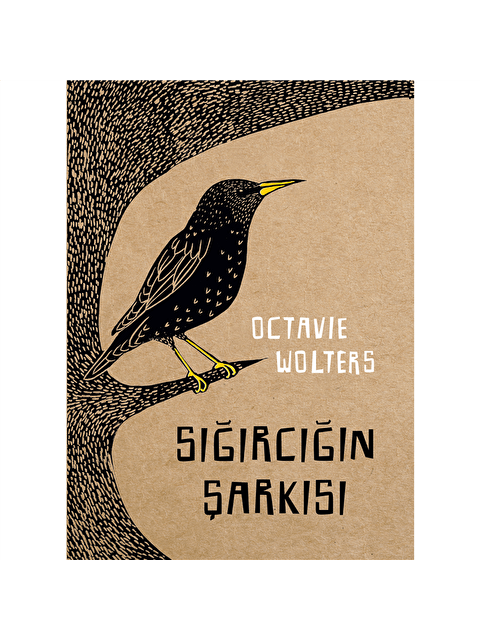 Meav Yayıncılık Sığırcığın Şarkısı - S000240982-10231