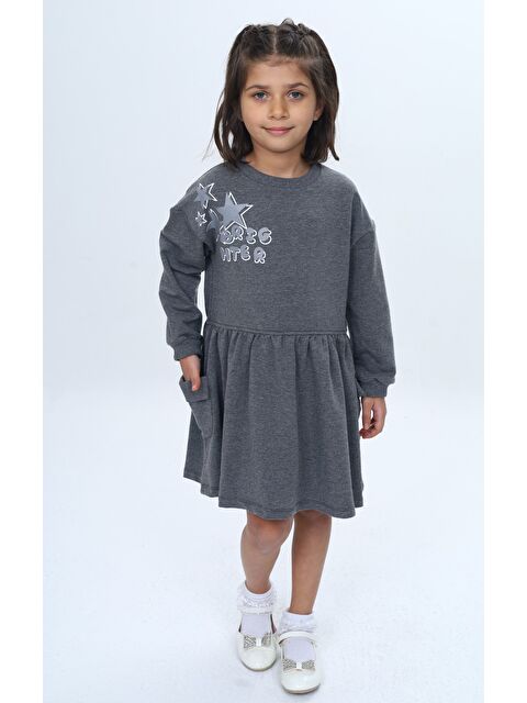 Toontoykids Kız Çocuk Baskılı Relax Fit Bisiklet Yaka Düşük Omuz Uzun Kollu Baskılı Elbise - S000487441-29666