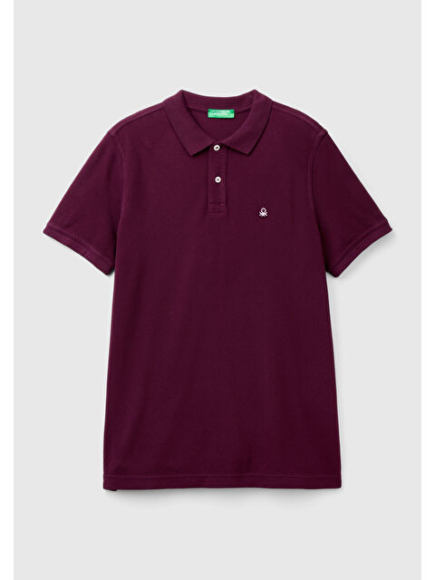United Colors Of Benetton Erkek Mor Regular Fit Kısa Kollu Polo Tişört - S000317180-20042