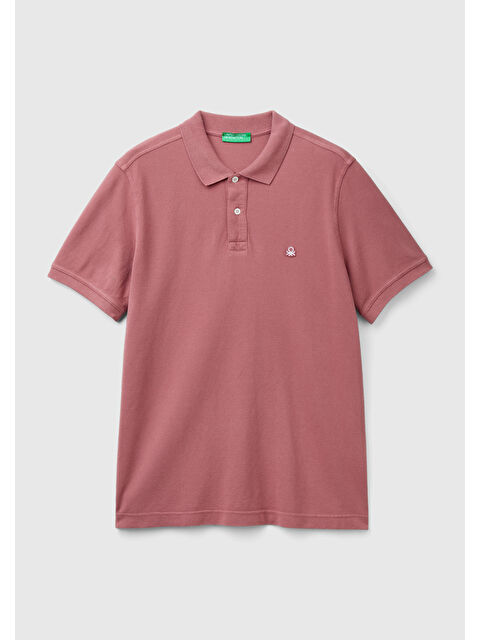 United Colors Of Benetton Erkek Gül Kurusu Regular Fit Kısa Kollu Polo Tişört - S000317180-20022