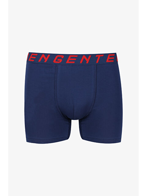 Koza İç Giyim Erkek Tekli Pamuklu Elastanlı Boxer - S000426386-21164