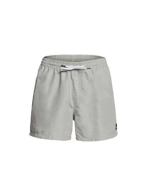 Quiksilver Erkek Volley Short Everyday 15 M Jamv Gri - S000500801-20600