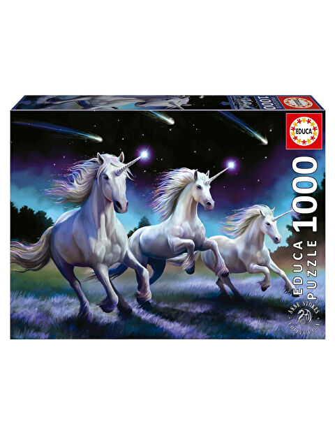 Educa Puzzle 1000 Parça Kayan Yıldız, Anne Stoke 19919