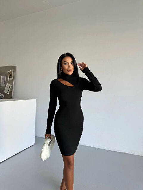 Hazelin Kadın Siyah Boğazlı Uzun Kollu Ottoman Kumaş Elbise HZL25S-FRY123331 - S000432650-19351