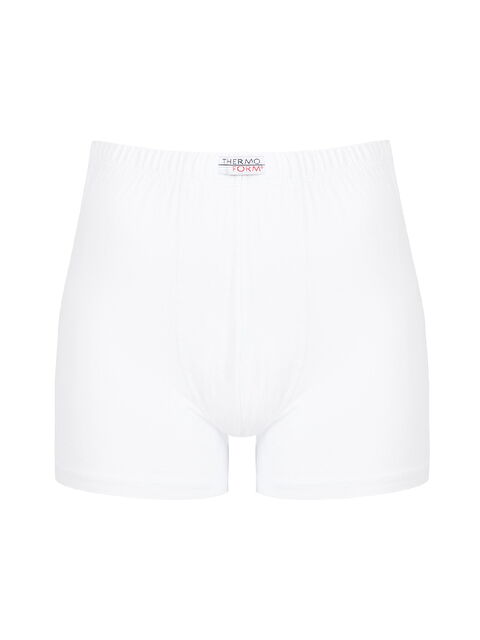 THERMOFORM Bambu Erkek Boxer - S000532225-20063