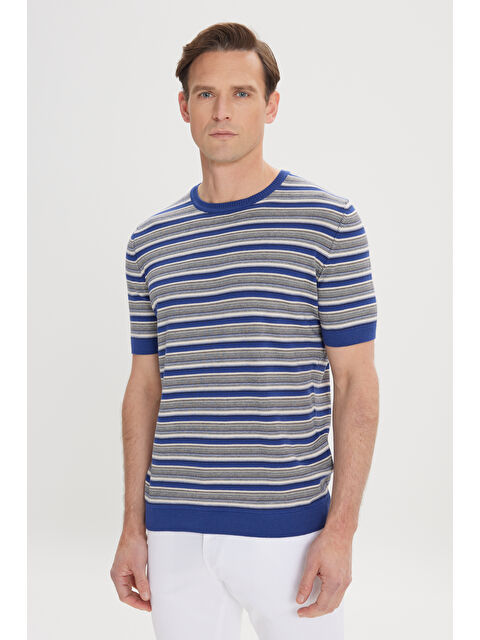 Altınyıldız Classics Erkek SAKS BEJ Standart Fit Bisiklet Yaka %100 Pamuk Çizgili Triko Tişört