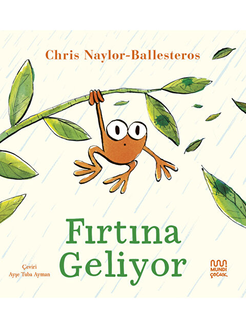 Mundi Fırtına Geliyor - S000485738-10231