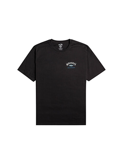 Billabong Arch Dreamy Place Ss Erkek Siyah Tişört - S000489012-19351