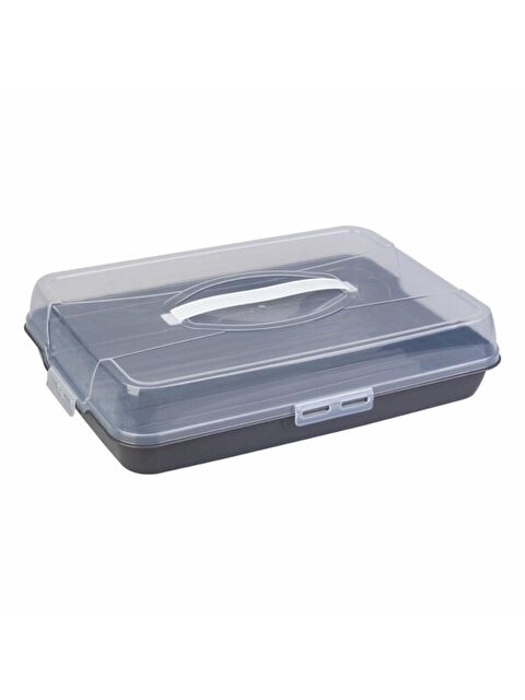 Bee Home Dikdörtgen Borcam Taşıma Kutusu 42x29x9 cm (AK-683) - S000444741-26865