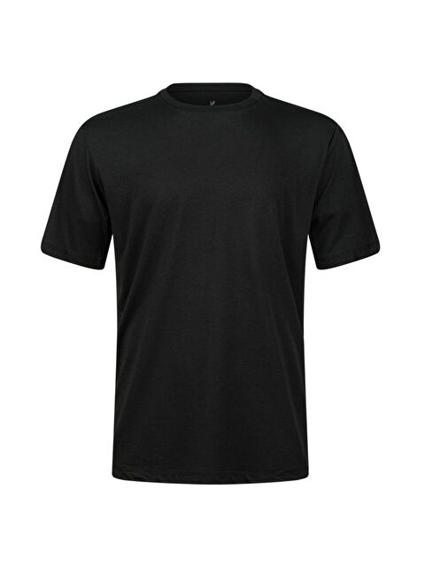 2AS Axel Erkek Bisiklet Yaka T-shirt - S000501464-19351