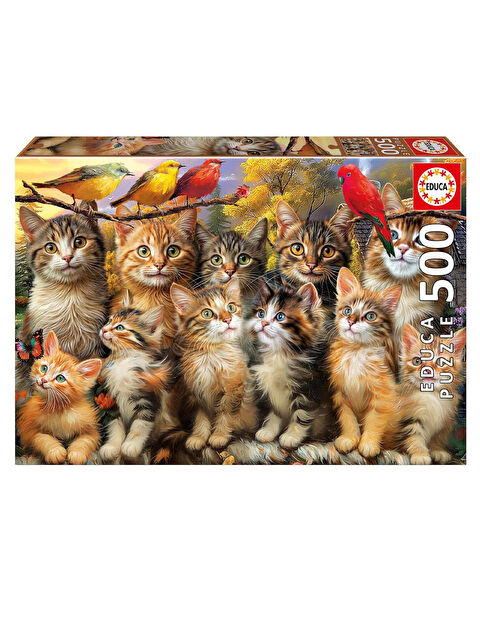 Educa Puzzle 500 Parça Yavru Kedi ve Kuş 20241
