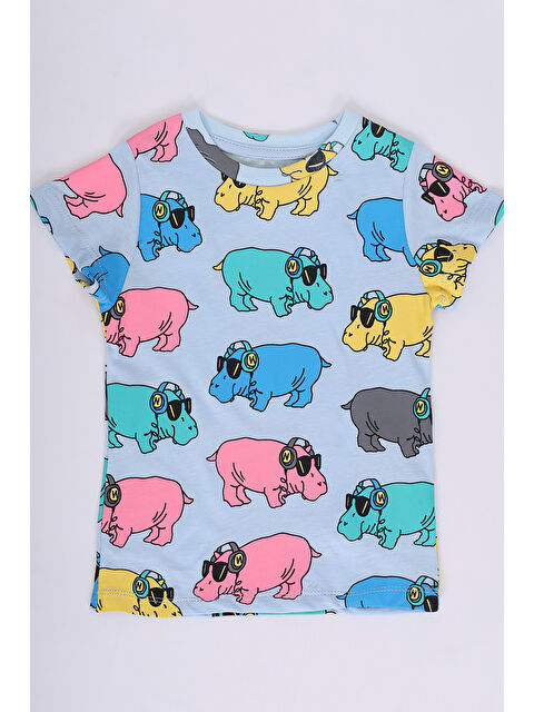 Toontoykids Erkek Çocuk Baskılı Tişört - S000417824-23370