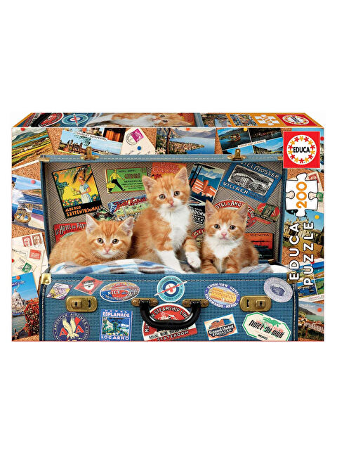Educa Puzzle 200 Parça Gezici Yavru Kedi 18065
