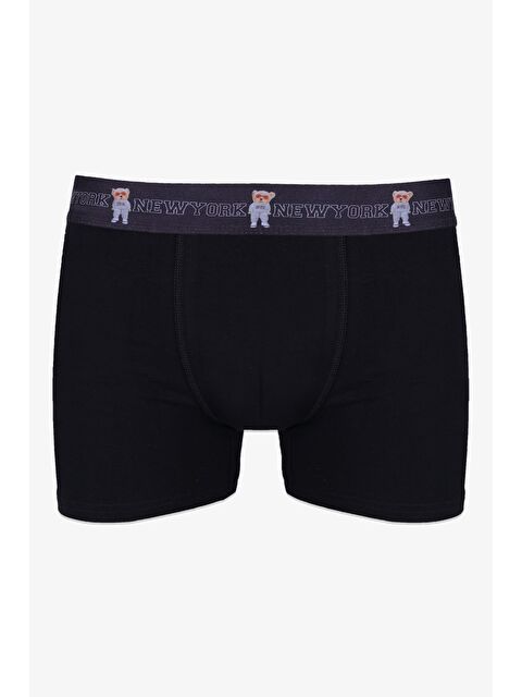 Koza İç Giyim Erkek Tekli Pamuklu Boxer - S000440188-2530
