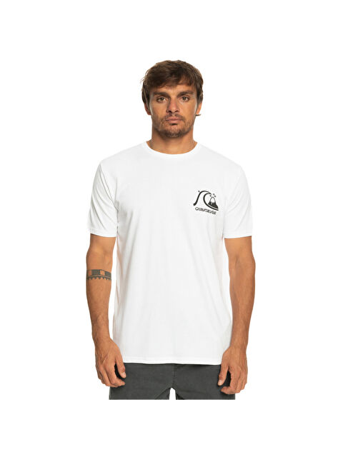 Quiksilver Theoriginaltee Erkek Renkli Tişört - S000489022-20063