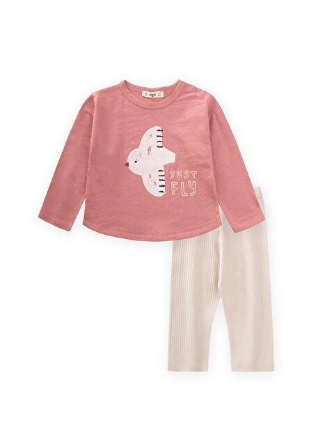 CİGİT Uzun Kollu Baskılı T-Shırt Takım 1-5 Yaş K Pembe - S000441858-20024