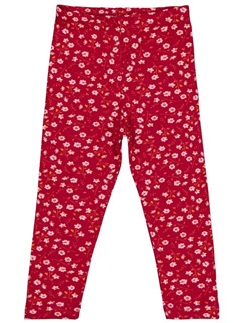 Civil Girls Çiçek Baskılı 2-5 Yaş Tayt - Bordo 3-4 Yaş - S000484463-19951