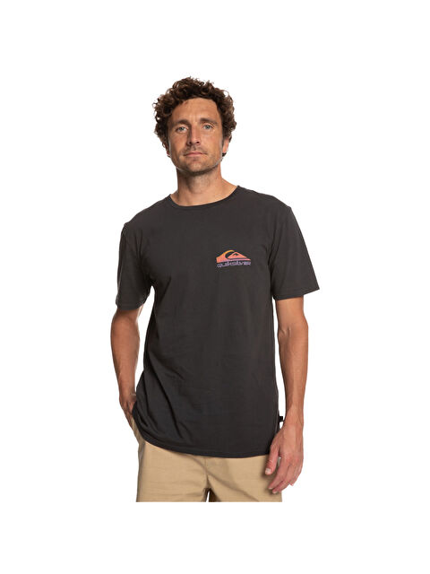 Quiksilver Pastimeparadise Erkek Siyah Tişört - S000489035-19351