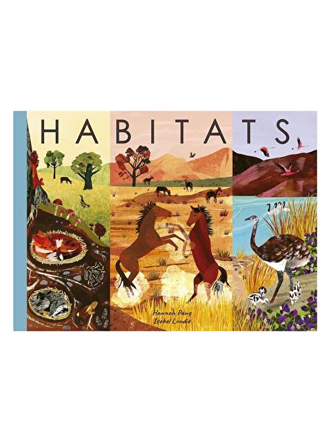 Little Tiger Habitats - S000335843-10231