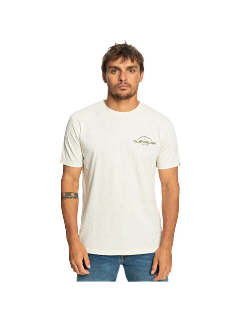 Quiksilver Archedtype Erkek Bej Tişört - S000489043-19928