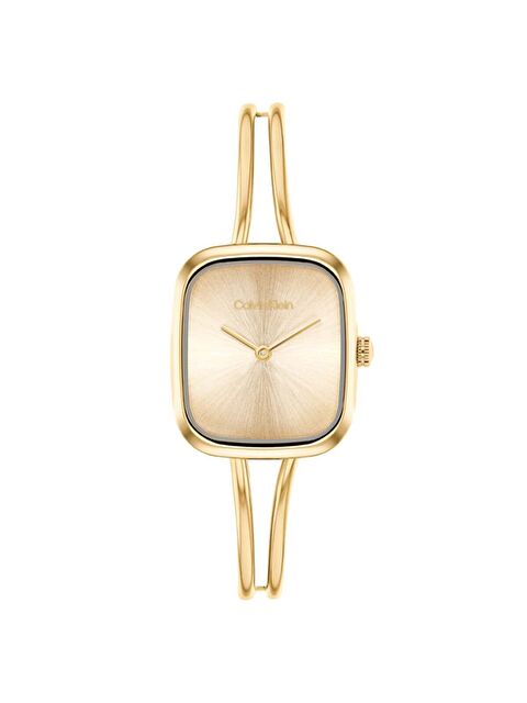 Calvin Klein CK25100132 Kadın Kol Saati
